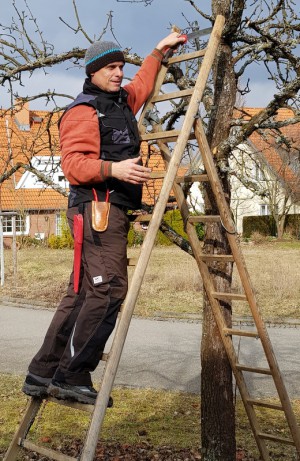 Auf Du und Du mit dem Apfelbaum oder Vor dem Schnitt steht die Baumansprache