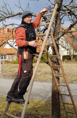 Auf Du und Du mit dem Apfelbaum  oder Vor dem Schnitt steht die Baumansprache